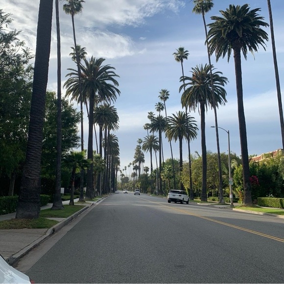 Meet your Posher, Ophelia - Picture 1 of 1